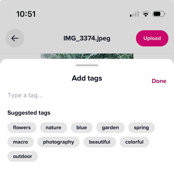A screenshot of the app showing the interface for adding tags to a photo. The suggested tags are as in the list mentioned above.