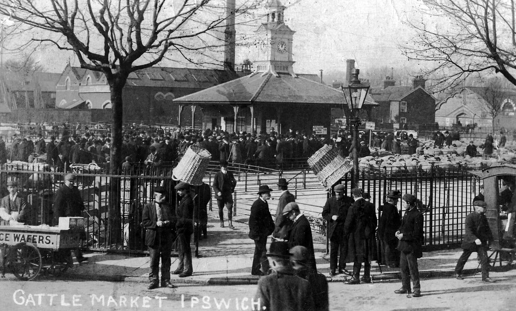A photo of a buysy market with probably more than 100 men, all wearing flat caps or bowler hats. There are various fenced pens, some crowded with sheep. A low building in the background has a clocktower on its roof. The gate posts leading into the market each have a large upturned basket on them.