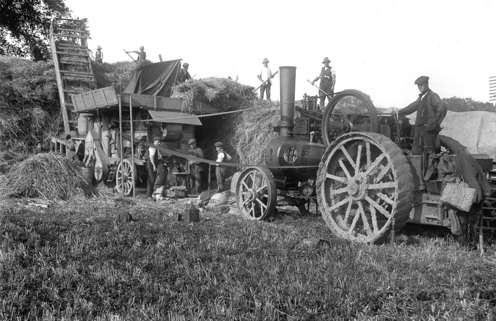 A photo of a steam engine attached by a long belt to another piece of wheeled machinery. Behind that is a high stack of hay and some kind of wide wooden ladder or conveyor leads up to the top of it. There are several men at work, many holding long-handled tools.